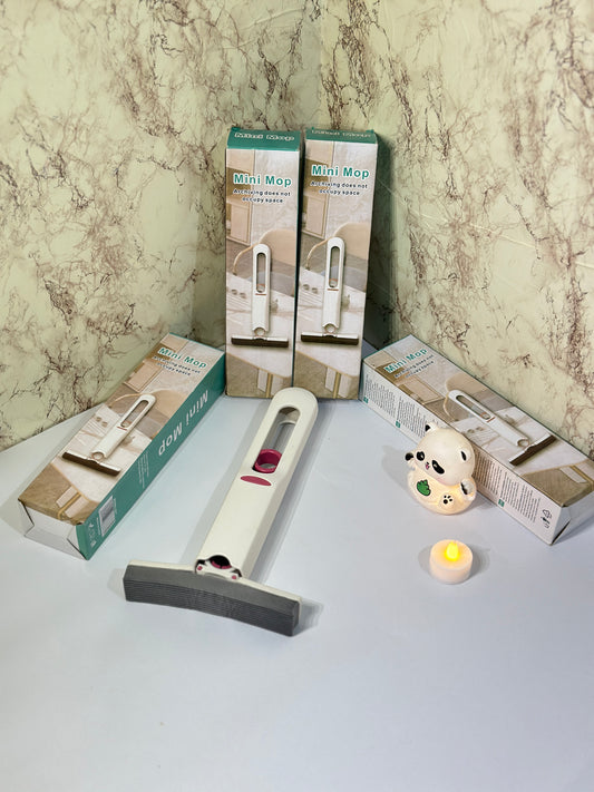 MINI MOP (Water Absorber)